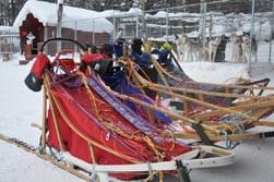 Nordeuropa, Lappland, Schweden-Expeditionen: Husky-Expeditionen - Hundeschlitten