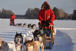 Nordeuropa, Lappland, Schweden-Expeditionen: Husky-Expeditionen - In Winterkleidung auf dem Hundeschlitten